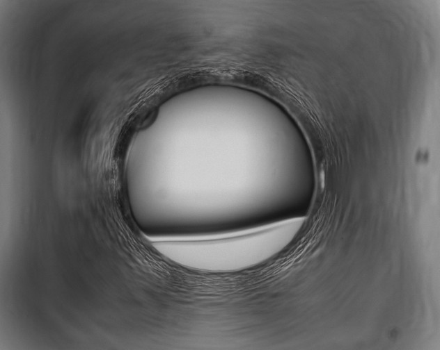 X0000100861347200806200827