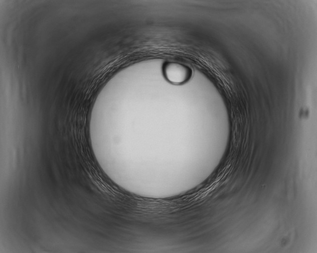 X0000100861348200806200827