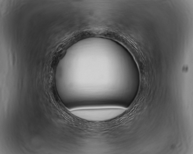 X0000100861349200806200827