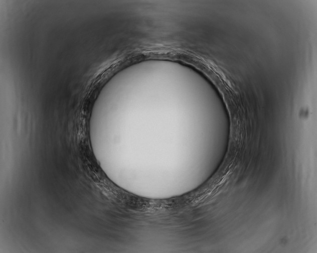 X0000100861350200806200827