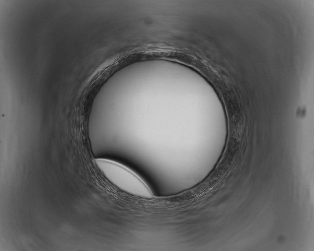 X0000100861351200806200827
