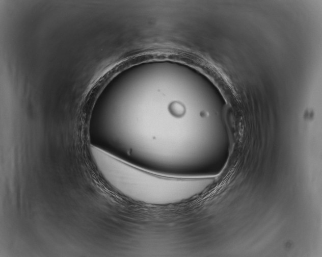 X0000100861352200806200827