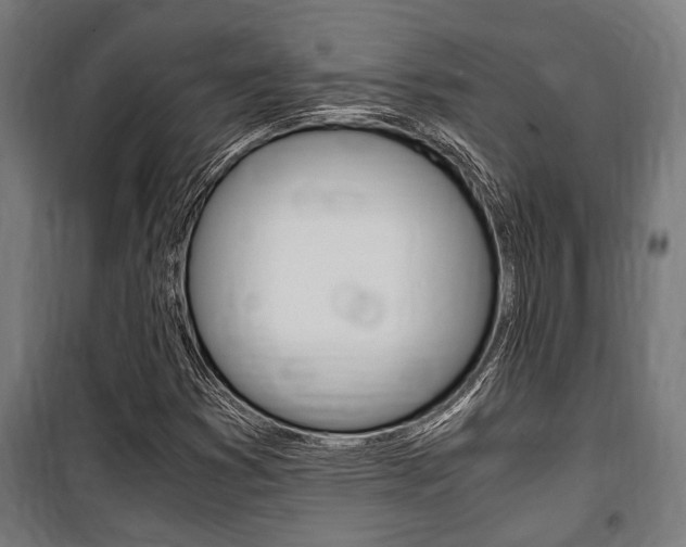 X0000100861353200806200827