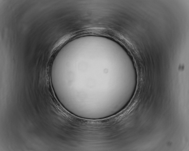 X0000100861354200806200827