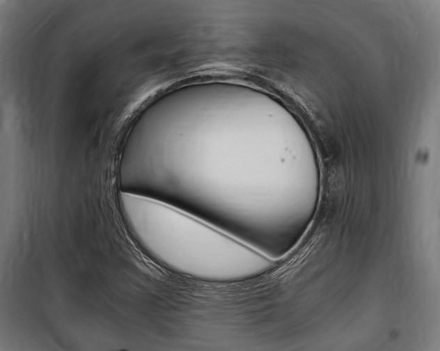 X0000100861355200806200827