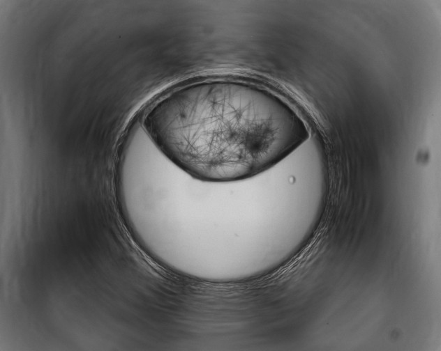 X0000100861356200806200827