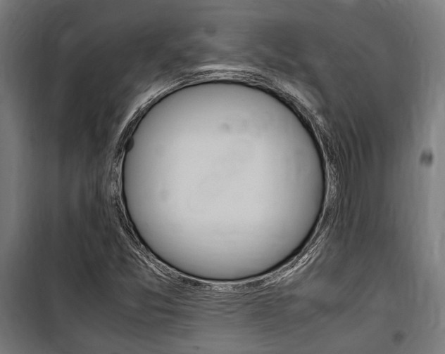 X0000100861357200806200827