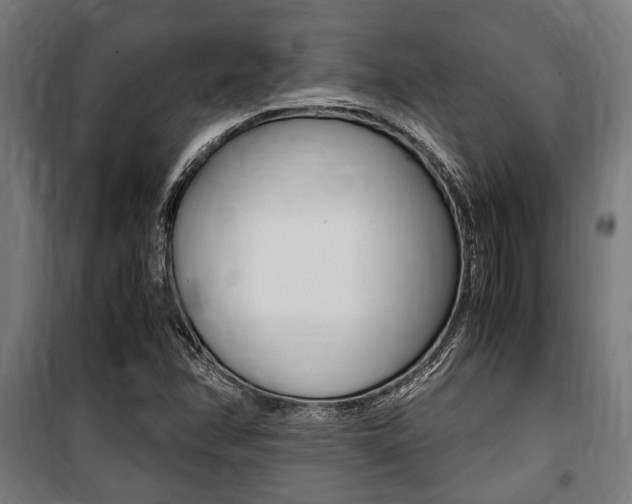X0000100861358200806200827