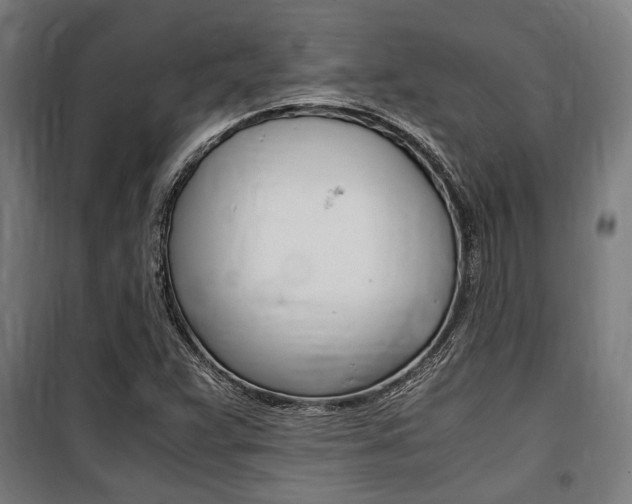X0000100861359200806200827