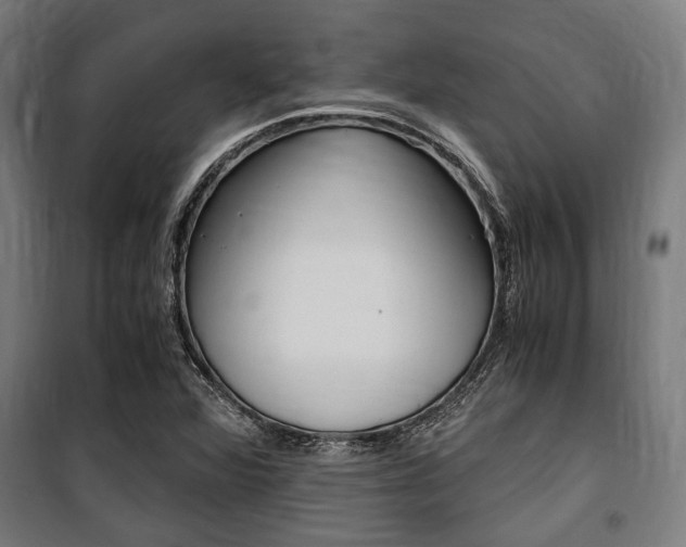 X0000100861360200806200827