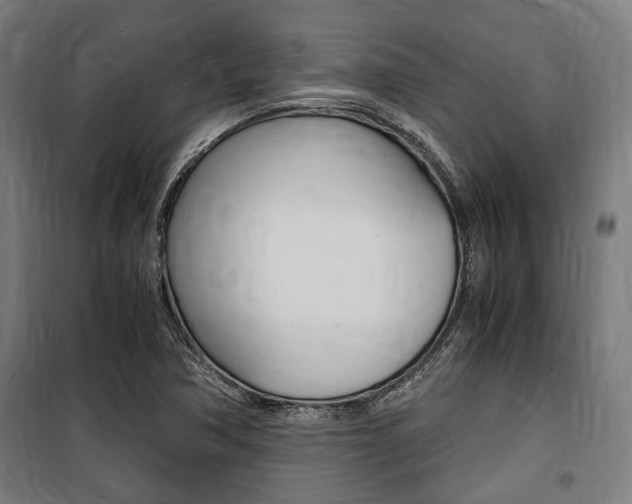 X0000100861362200806200827