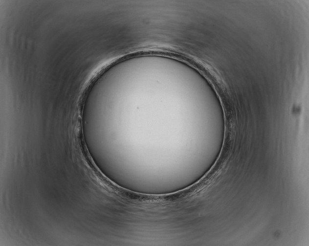 X0000100861363200806200827