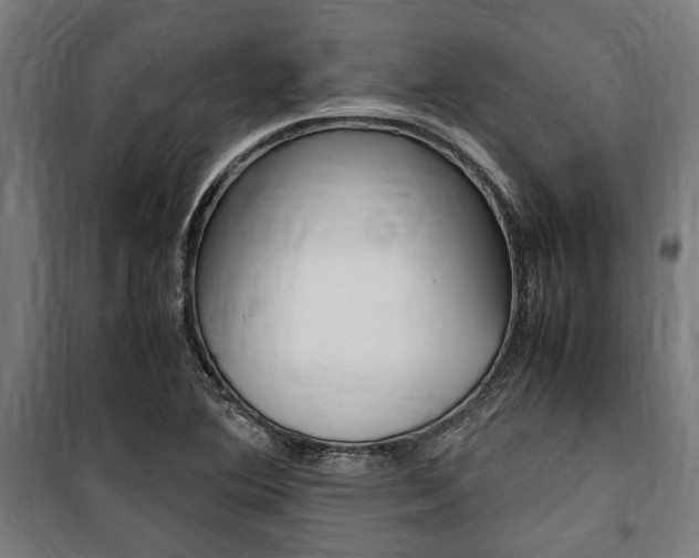 X0000100861364200806200827