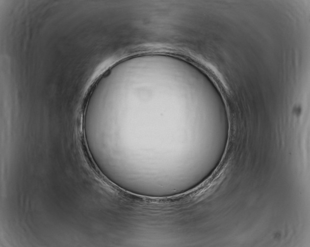 X0000100861365200806200827