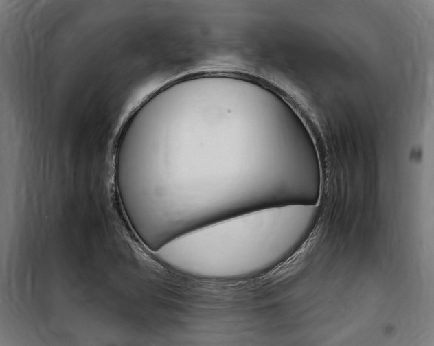 X0000100861366200806200827