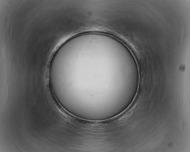 X0000100861367200806200827