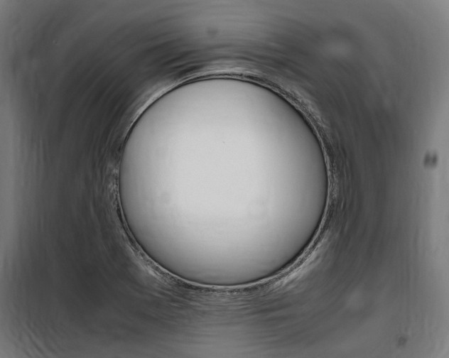 X0000100861369200806200827