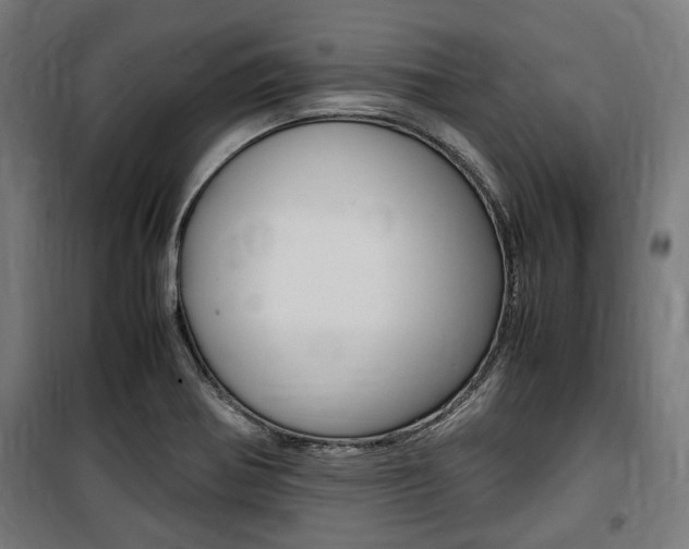 X0000100861370200806200827