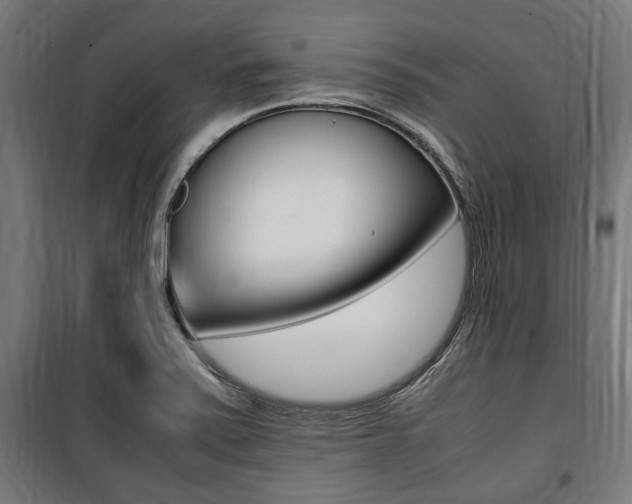 X0000100861371200806200827