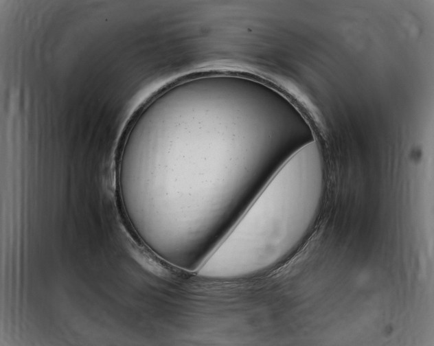 X0000100861372200806200827