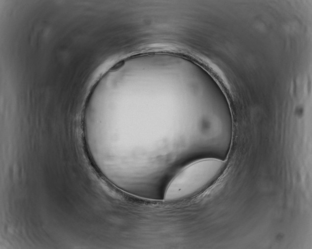 X0000100861373200806200827