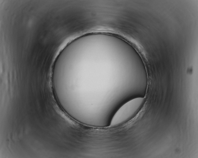 X0000100861374200806200827
