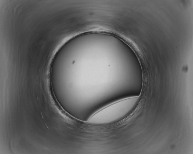 X0000100861375200806200827