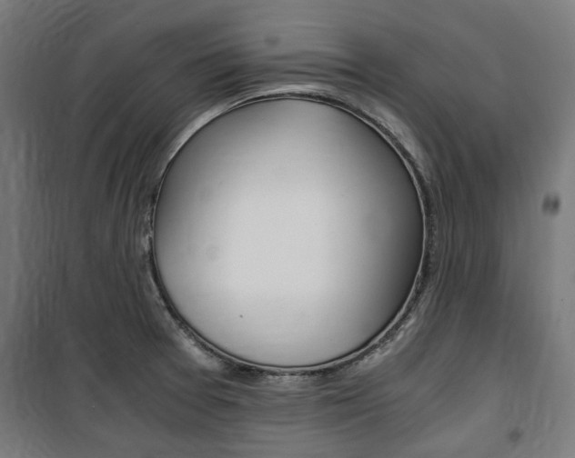 X0000100861377200806200827