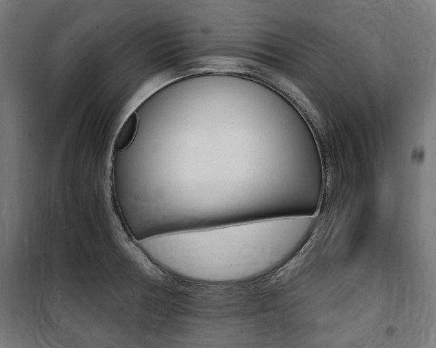 X0000100861378200806200827