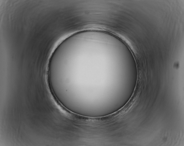 X0000100861379200806200827