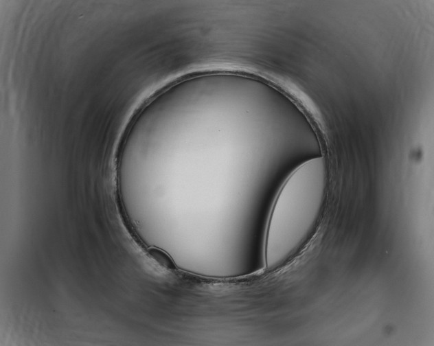 X0000100861380200806200827