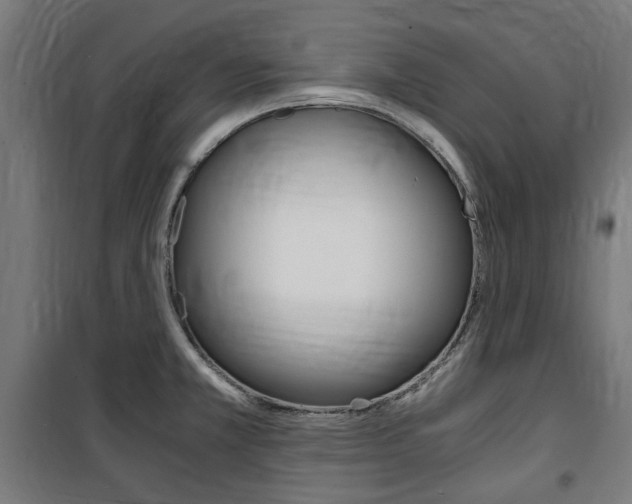X0000100861381200806200827