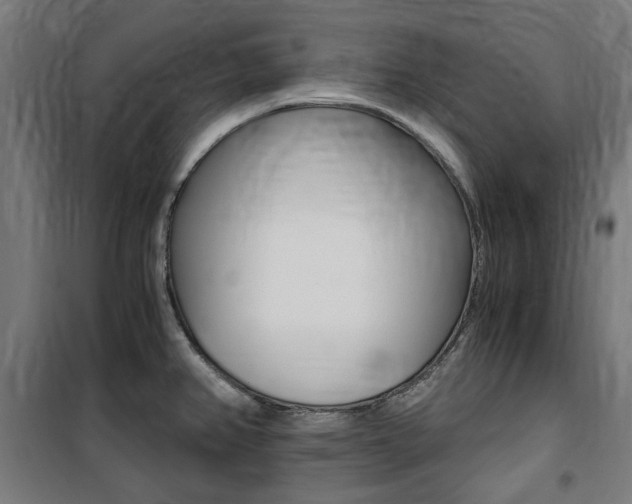X0000100861382200806200827