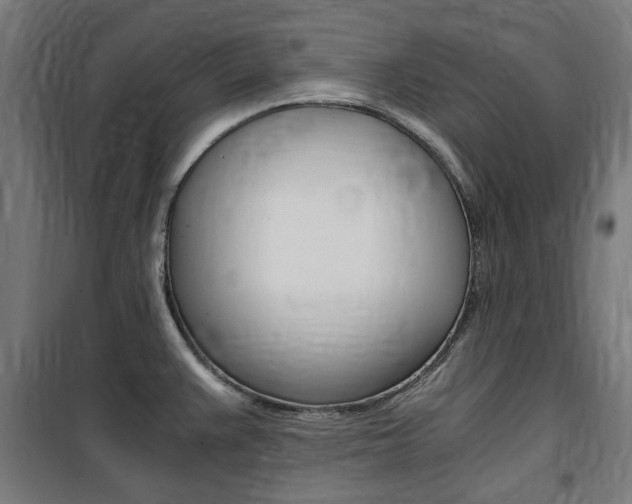 X0000100861383200806200827