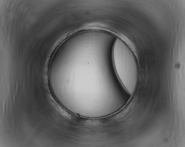 X0000100861384200806200827