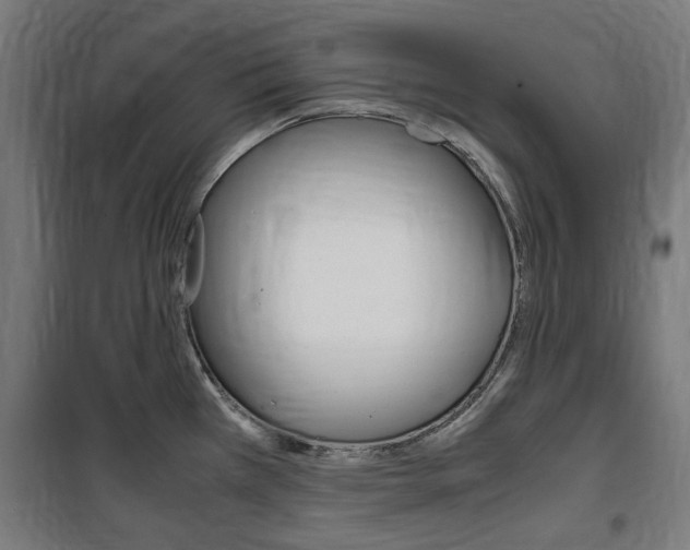 X0000100861385200806200827