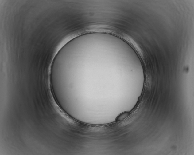 X0000100861386200806200827