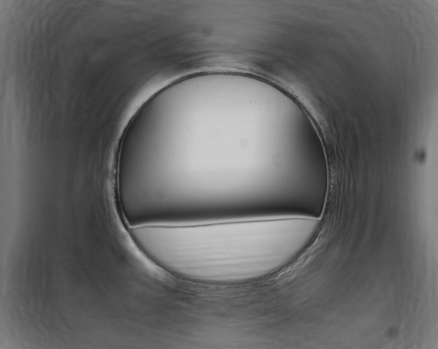 X0000100861387200806200827