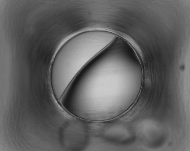 X0000100861388200806200827