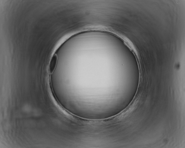 X0000100861389200806200827