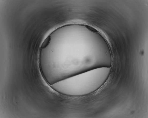 X0000100861390200806200827