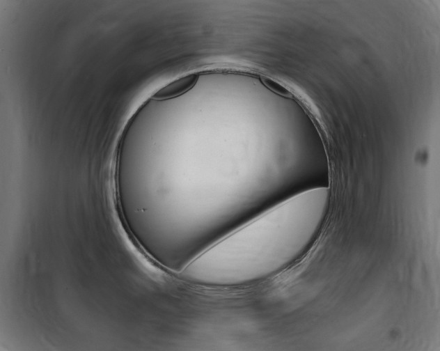 X0000100861391200806200827