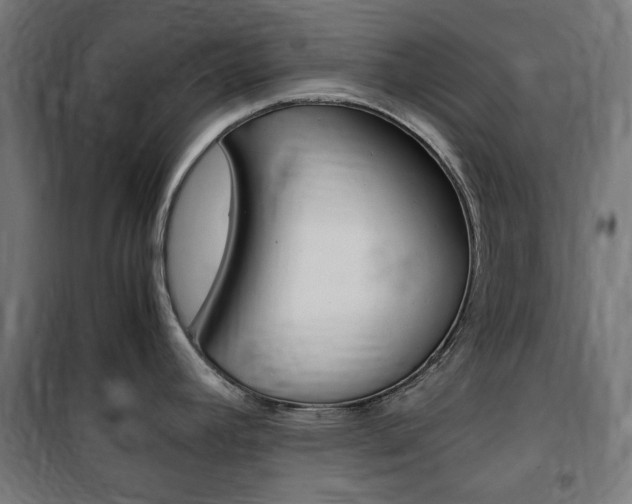 X0000100861392200806200827