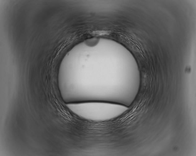 X0000100861393200806200826