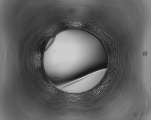 X0000100861394200806200826