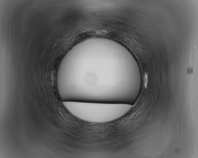 X0000100861395200806200826