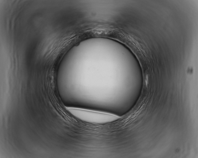 X0000100861396200806200826
