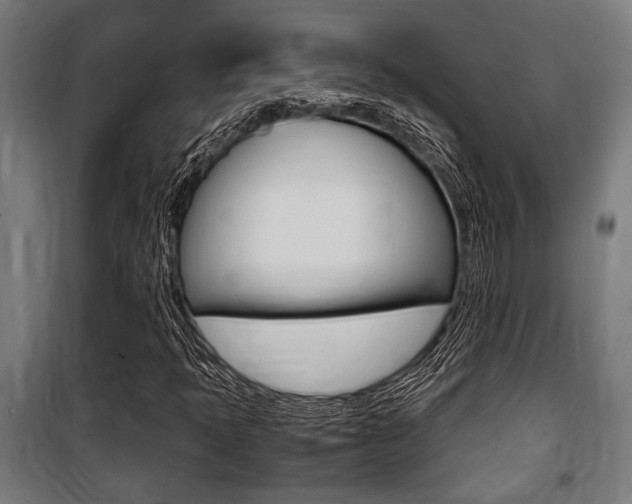 X0000100861397200806200826