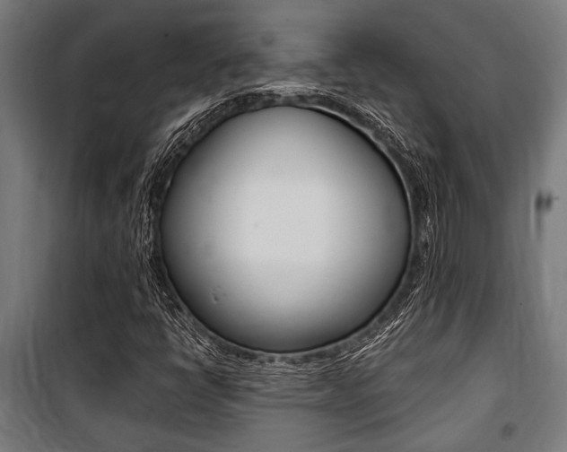 X0000100861398200806200826