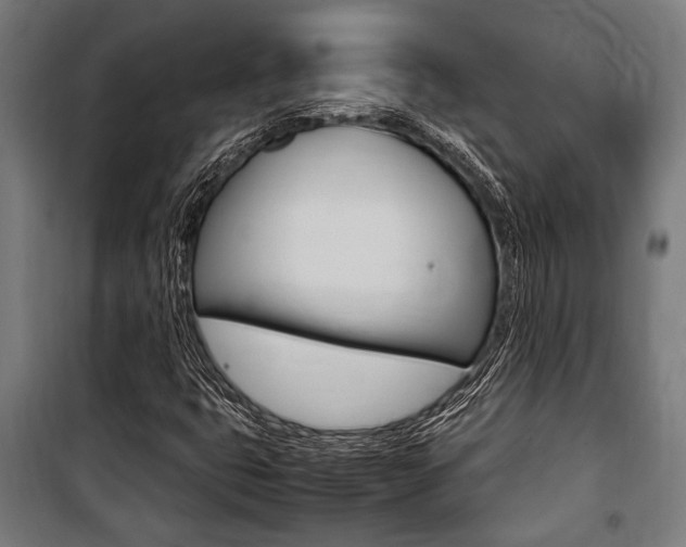 X0000100861399200806200826